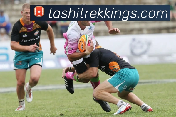 乐鱼官方网站在线登陆APP 封面图